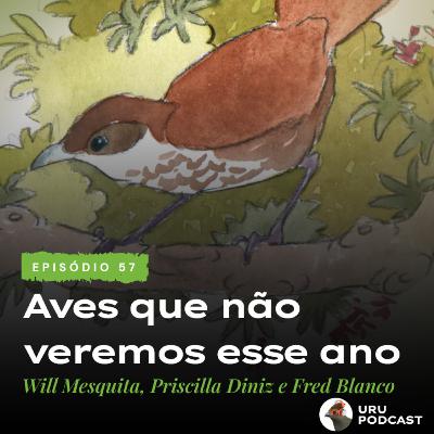 #57 - Aves que não veremos esse ano: Marrom também é cor!