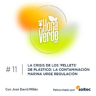 #11x03 | La crisis de los 'pellets' de plástico: la contaminación marina urge regulación