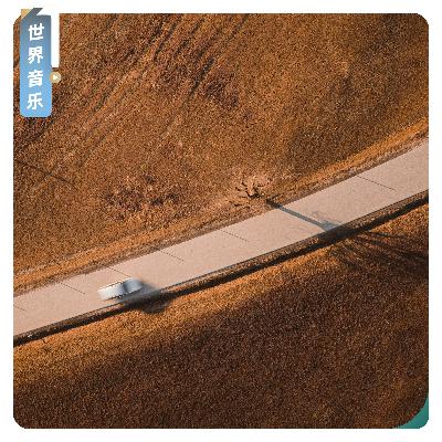 【世界音乐】没有民歌,没有同类:当世界音乐不再“世界” 【世界音乐】没有民歌,没有同类:当世界音乐不再“世界”