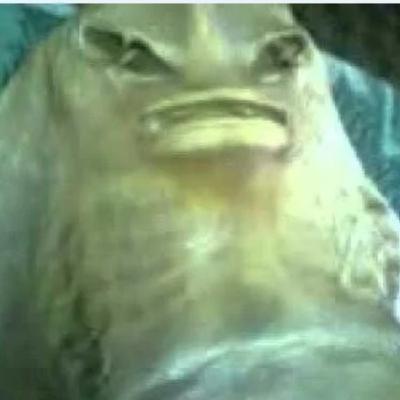 Kisah Horror