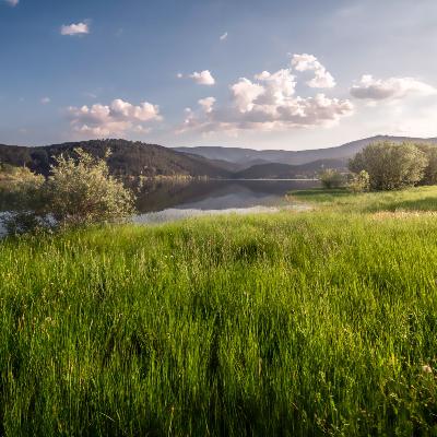 Caminantes - Por los caminos de la Mesta en Casla - 30/11/24 Caminantes - Por los caminos de la Mesta en Casla - 30/11/24