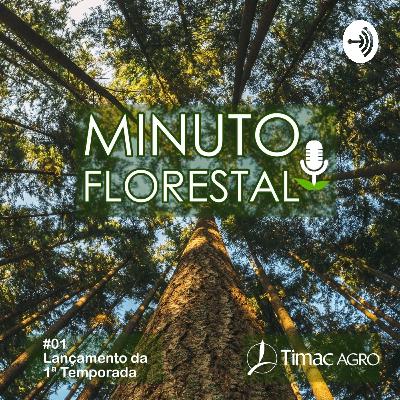 Temp. 3 - Ep. 6 - Vivências e reflexões ao longo de meio século da produção florestal no Brasil Temp. 3 - Ep. 6 - Vivências e reflexões ao longo de meio século da produção florestal no Brasil