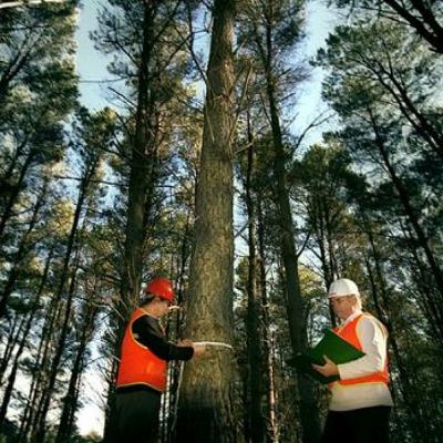 Episode 25 - PhD scholarships supporting vital grower research, and boosting sector capacity Episode 25 - PhD scholarships supporting vital grower research, and boosting sector capacity