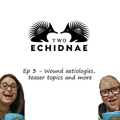 Ep3 - Wound aetiologies, teaser topics and more
