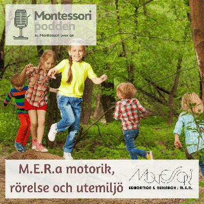 MERa motorik, rörelse och utemiljö!