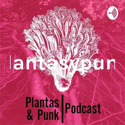 episodio 3 de plantasypunk