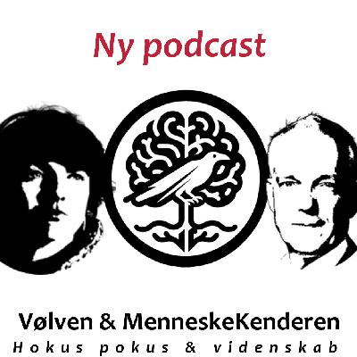 Teaser: Vølven & MenneskeKenderen podcast