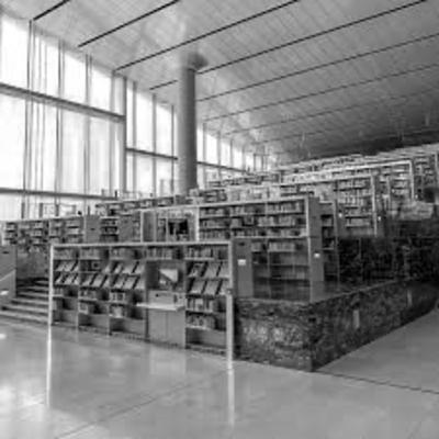 A Chat in the Yurt - Episode XXVI: (GO)NGOs A Chat in the Yurt - Episode XXVI: (GO)NGOs