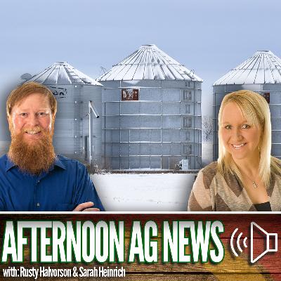 Afternoon Ag News, February 16, 2026: Do farmers have enough grain storage? Afternoon Ag News, February 16, 2026: Do farmers have enough grain storage?