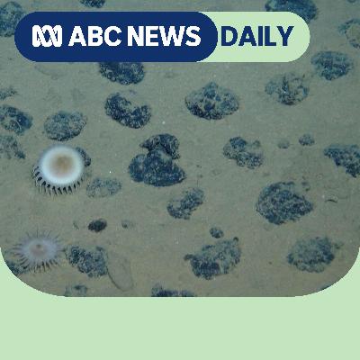 Will Trump kick-start a seabed mining bonanza?