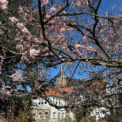 48. 春分の日に未来逆算思考について考える