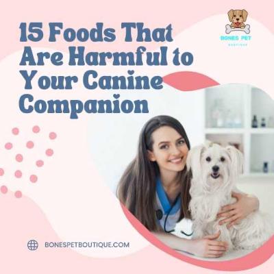15 Foods That Are Harmful to Your Canine Companion 15 Foods That Are Harmful to Your Canine Companion
