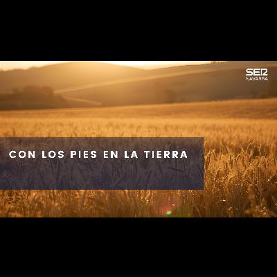 Con los pies en la tierra: la modernización de los regadíos en Navarra