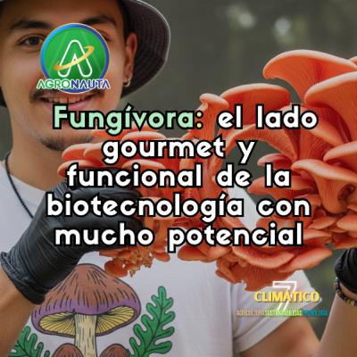 Fungívora: el lado gourmet y funcional de la biotecnología con mucho potencial