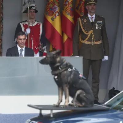 2025 - The Year in Spanish Politics