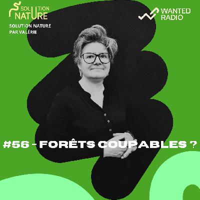 Solution Nature #56 : Forêts coupables ?