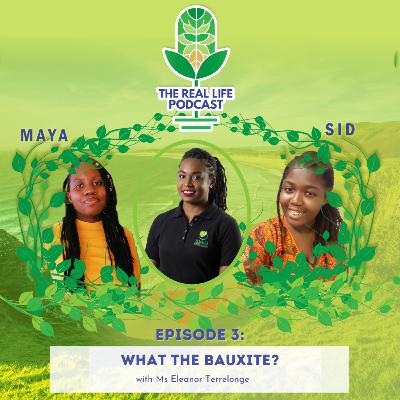 What the bauxite? with Ms Eleanor Terrelonge