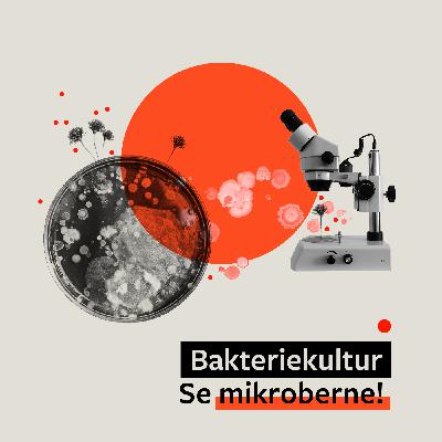 #4 Se mikroberne!