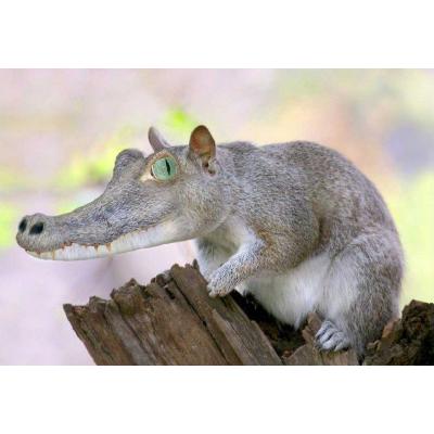 Netflix or Ben Dover?