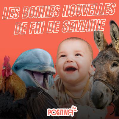 5 Bonnes Nouvelles pour finir la semaine ! #1 5 Bonnes Nouvelles pour finir la semaine ! #1