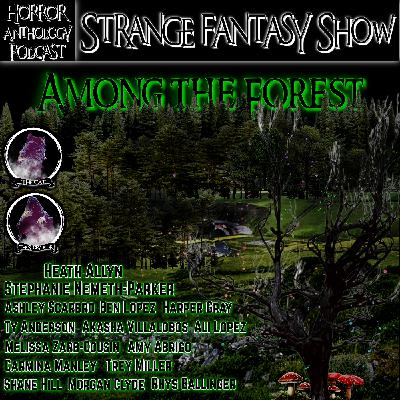 Among the Forest Among the Forest