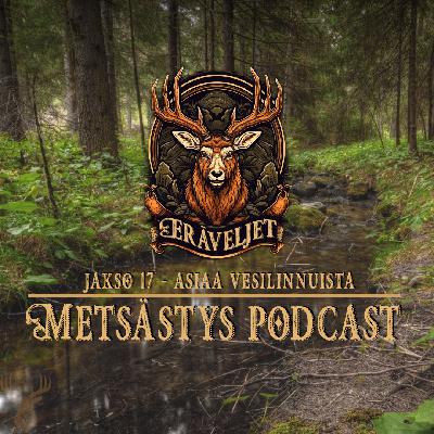 #17 Eräveljet - Vesilinnut /vieraana Veli-Matti Pekkarinen