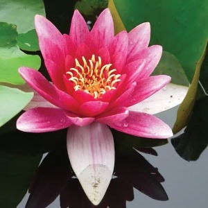 Crooked River Zen Center