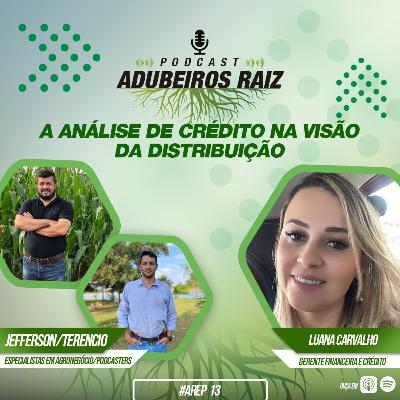 A ANÁLISE DE CRÉDITO NA VISÃO DO DISTRIBUIDOR A ANÁLISE DE CRÉDITO NA VISÃO DO DISTRIBUIDOR