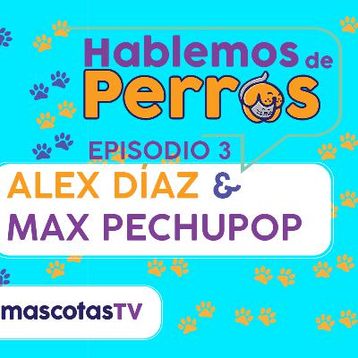 Toy Poodles ¿como cuidar un puppy? | HDP EP 3 Toy Poodles ¿como cuidar un puppy? | HDP EP 3