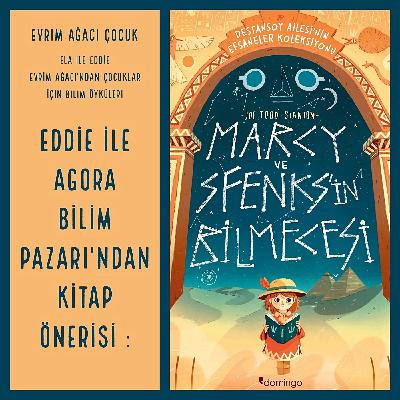 Eddie ile Agora Bilim Pazarı'ndan Kitap Önerisi: Marcy ve Sfenks'in Bilmecesi!