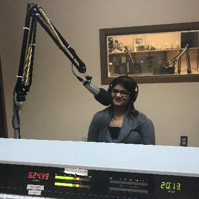 Episode 6: Anamika Jain of ConnexionWorks and the Business Immigrant Mentorship Program Episode 6: Anamika Jain of ConnexionWorks and the Business Immigrant Mentorship Program