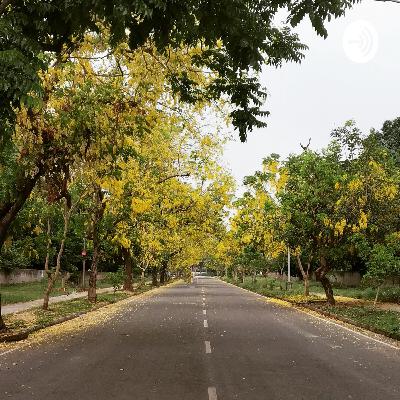 SIMPLISTIC Indian Culture And impact Of Movies (Trailer)