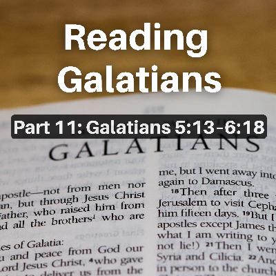 Reading Galatians (Part 11: Galatians 5:13–6:18) Reading Galatians (Part 11: Galatians 5:13–6:18)