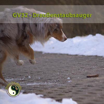 GV 32_Draussenstaubsauger