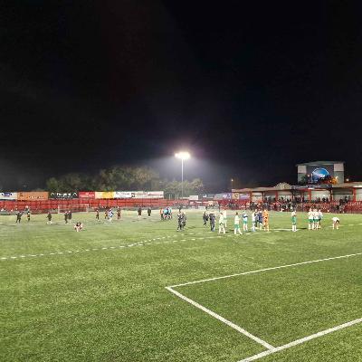 Foot In The Opposition Camp - Tamworth (A)