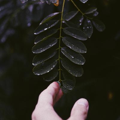 Sensory Relaxation Session | inVibe