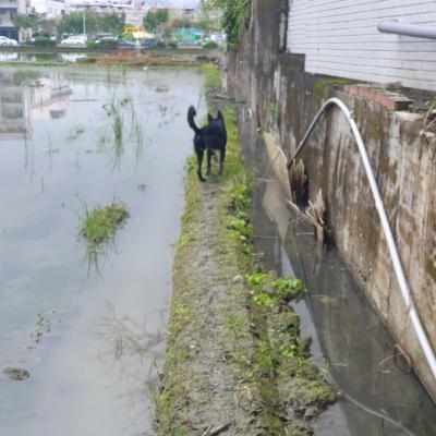 EP7 | Everything Feels Like It Was All Planned Out... 一切好像都是計畫好的......(Faster speed story)