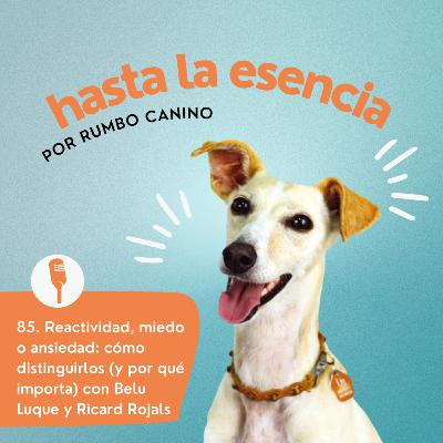 85. Reactividad, miedo o ansiedad: cómo distinguirlos (y por qué importa)