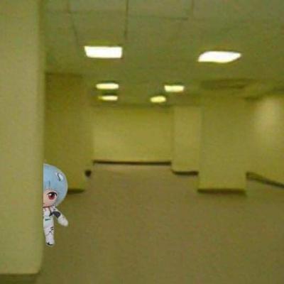 LOS BACKROOMS FALLAS EN LA REALIDAD LOS BACKROOMS FALLAS EN LA REALIDAD