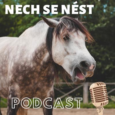 Díl 27. – O věcích mezi koněm a nebem