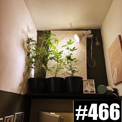 #466 Rätsel Auflösung