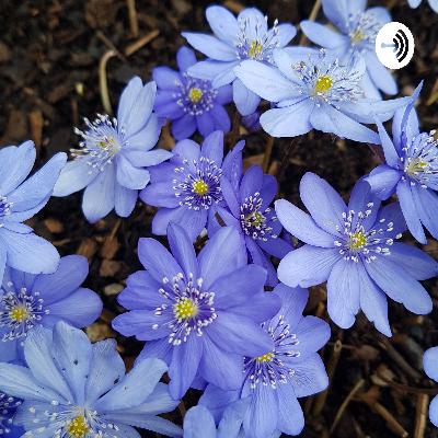 It's all a little bit Greek