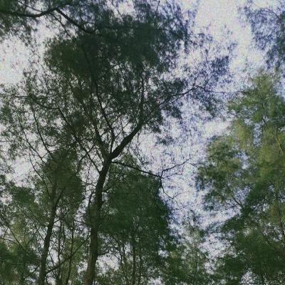 CRITA RAKYAT - MATERI BASA JAWA KELAS XI/2 (BY ANI MUNIKA)