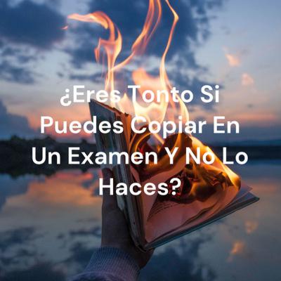 Eres un tonto si no copian un examen