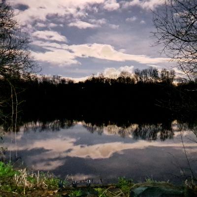 Lily Lake 018 / Carp Fishing / E181