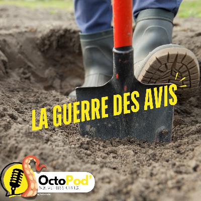 "La guerre des avis" – Comment une pelle a déclenché une bataille littéraire sur Amazon