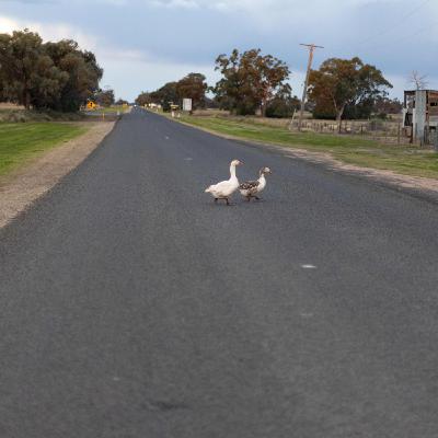 S4 Ep11: Quambone Part 3 S4 Ep11: Quambone Part 3