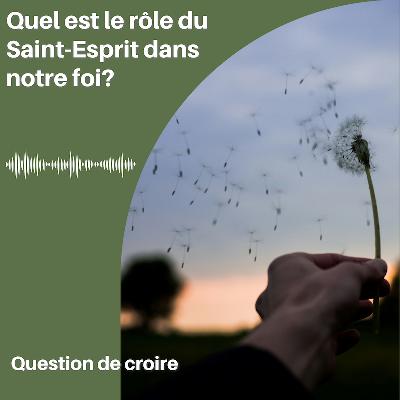 Quel est le rôle de l'Esprit-Saint dans notre foi? Quel est le rôle de l'Esprit-Saint dans notre foi?