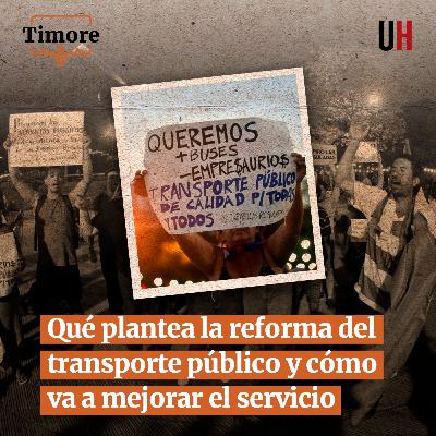 Qué plantea la reforma del transporte público y cómo va a mejorar el servicio Qué plantea la reforma del transporte público y cómo va a mejorar el servicio