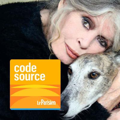 Brigitte Bardot : d'icône du cinéma à défenseuse des animaux Brigitte Bardot : d'icône du cinéma à défenseuse des animaux